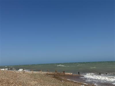 Picture 32